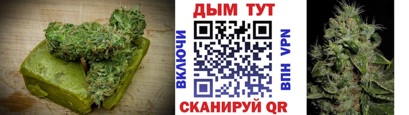 Cannafood конопля  где можно купить   Аксай 