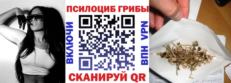 Псилоцибиновые грибы Cubensis  Аксай 