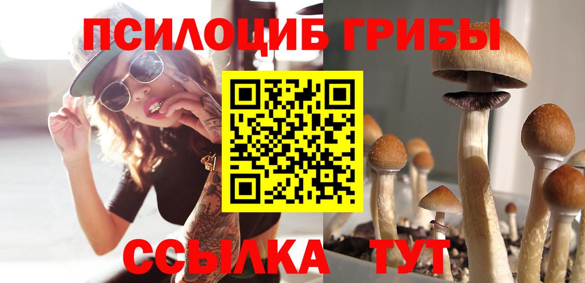 Галлюциногенные грибы GOLDEN TEACHER  Вход с VPN  магазин  наркотиков  Аксай 