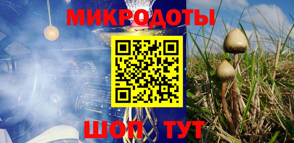 Галлюциногенные грибы Psilocybine cubensis Аксай